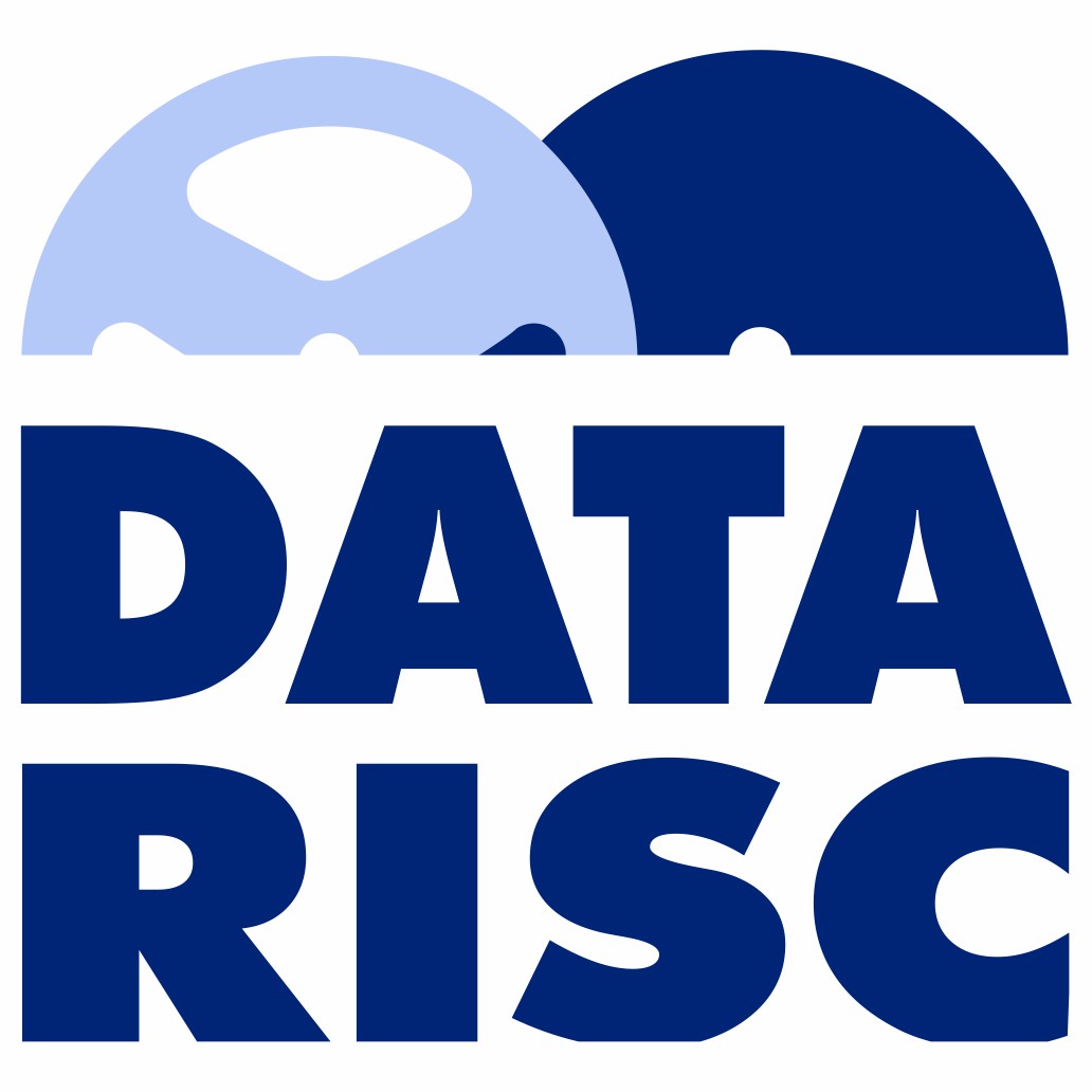 Logo Data Risc C